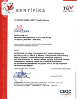 ISO 20000 Belge